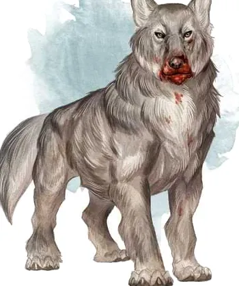 Un lobo gris con la boca ensangrentada.